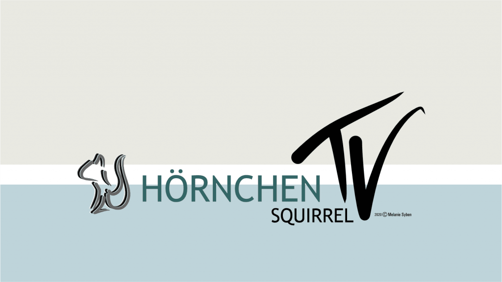 Logo_HoernchenTV_SquirrelTV_quer